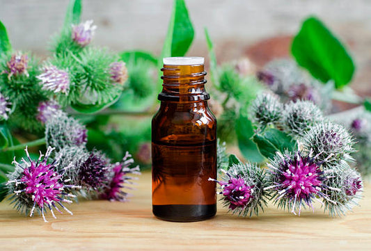 aceite de bardana